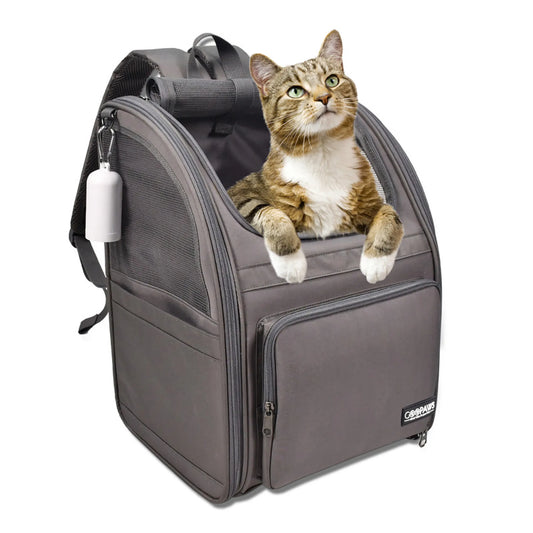 Backpack Dog & Cat Carrier