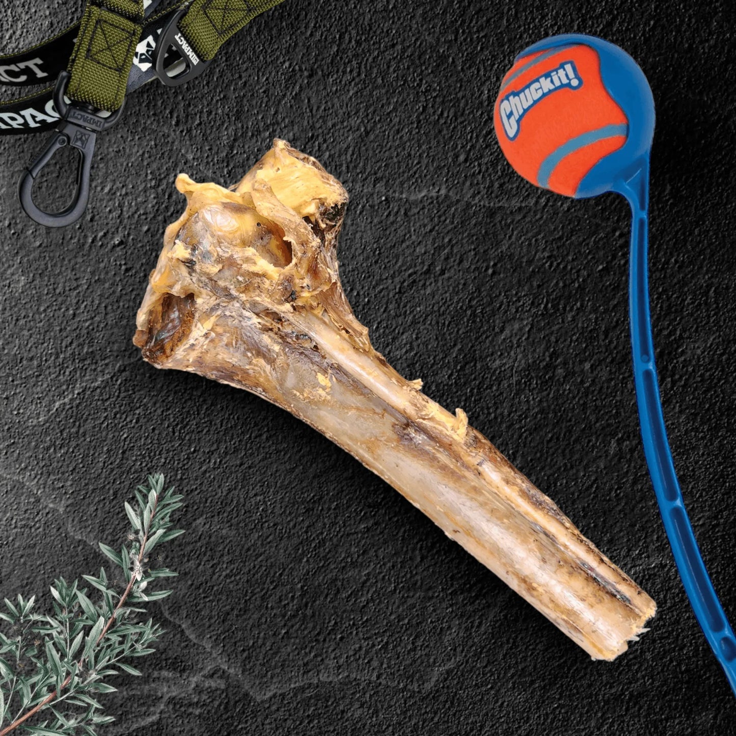 Large Ostrich Cane : The Ultimate Long-Lasting Chew for Medium, Large & XL Dogs