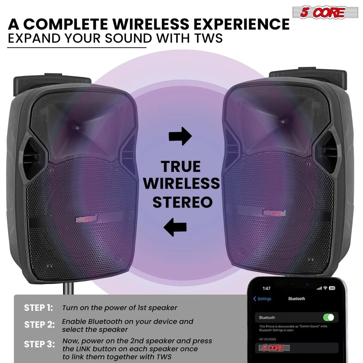 10 inch PA Portable Bluetooth Party Speaker Karaoke Boombox + 2 Wireless Mics