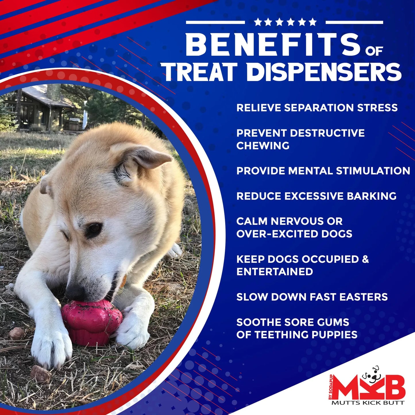 Cupcake eDispenser - Durable Rubber Chew Toy & Treat Dispenser