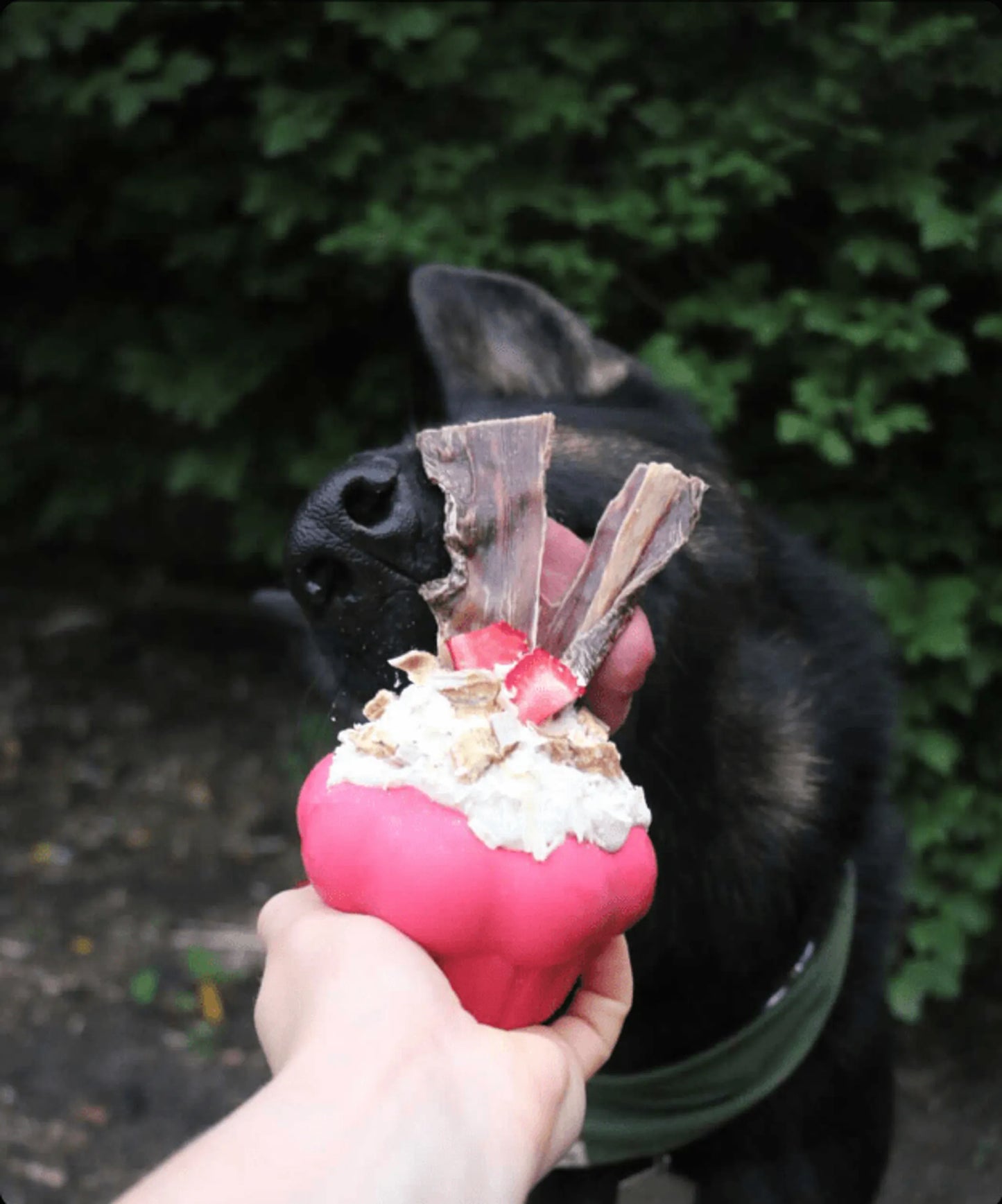 Cupcake eDispenser - Durable Rubber Chew Toy & Treat Dispenser